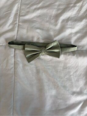 Amazon Men's Bow Tie in Sage Green